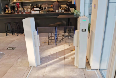 Servo Motor Swing Gate Turnstile with Face Recognition 304 Stainless Steel